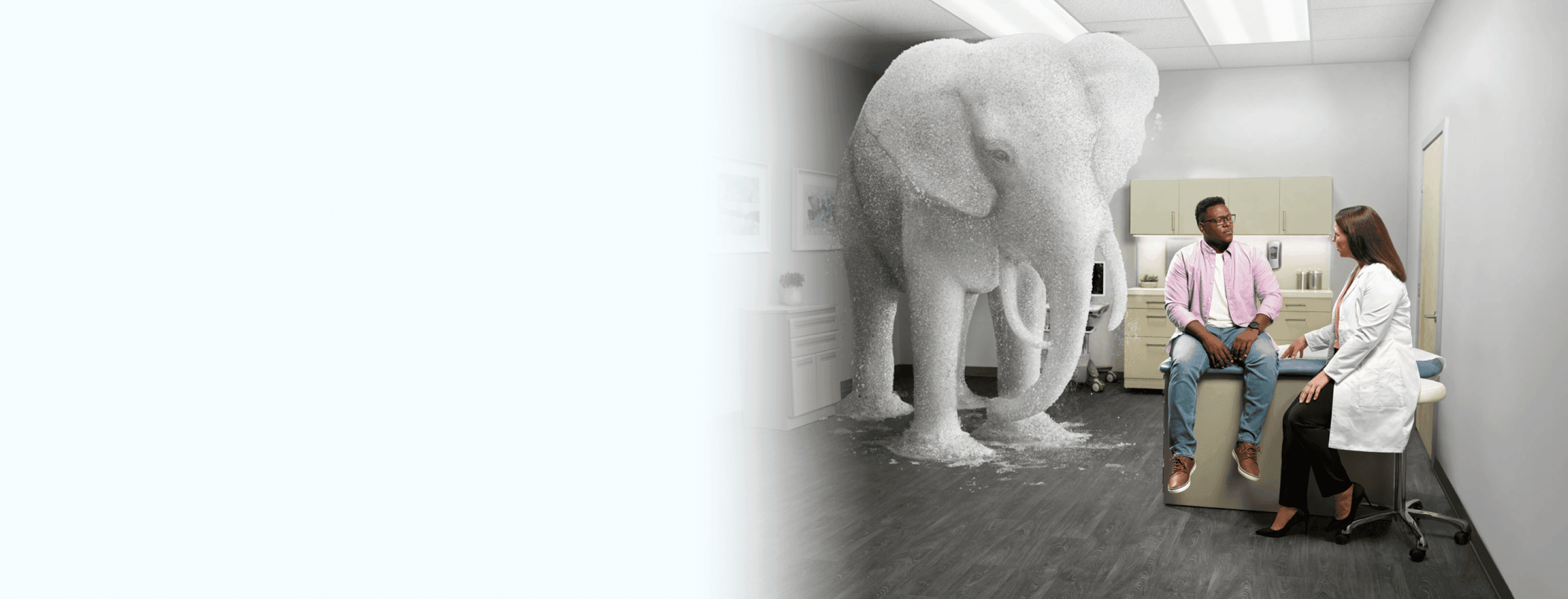 The Elephant in the Room  Addressing Substance Abuse